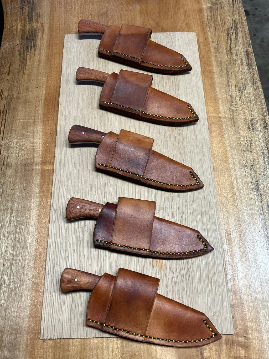 Every Day Carry (EDC) Knives