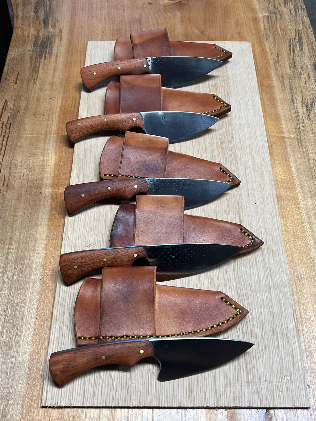 Every Day Carry (EDC) Knives